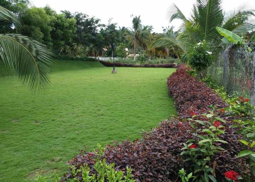 Tamil Nadu Madurai garden