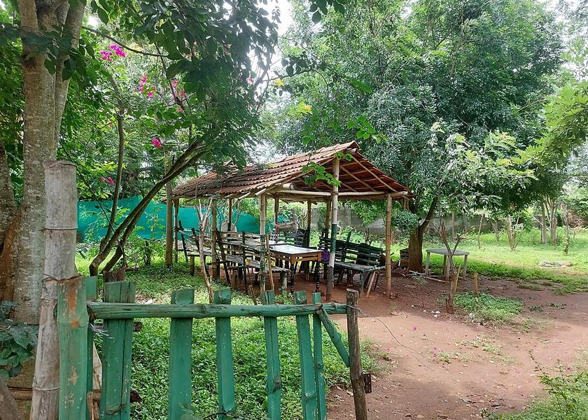 Tamil Nadu Ooty Hotel View