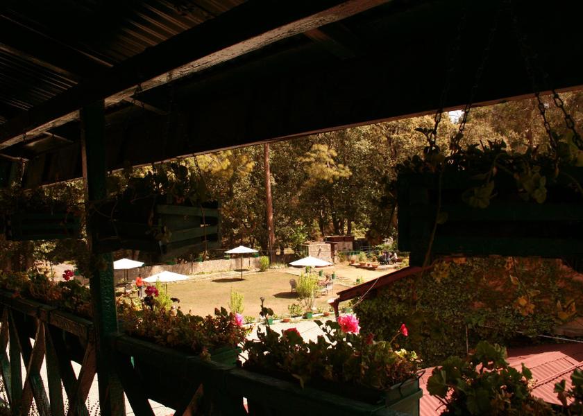 Uttarakhand Ranikhet Garden