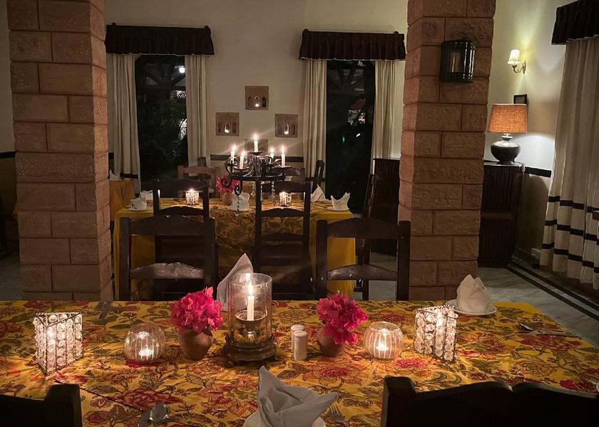 Rajasthan Jodhpur restaurant