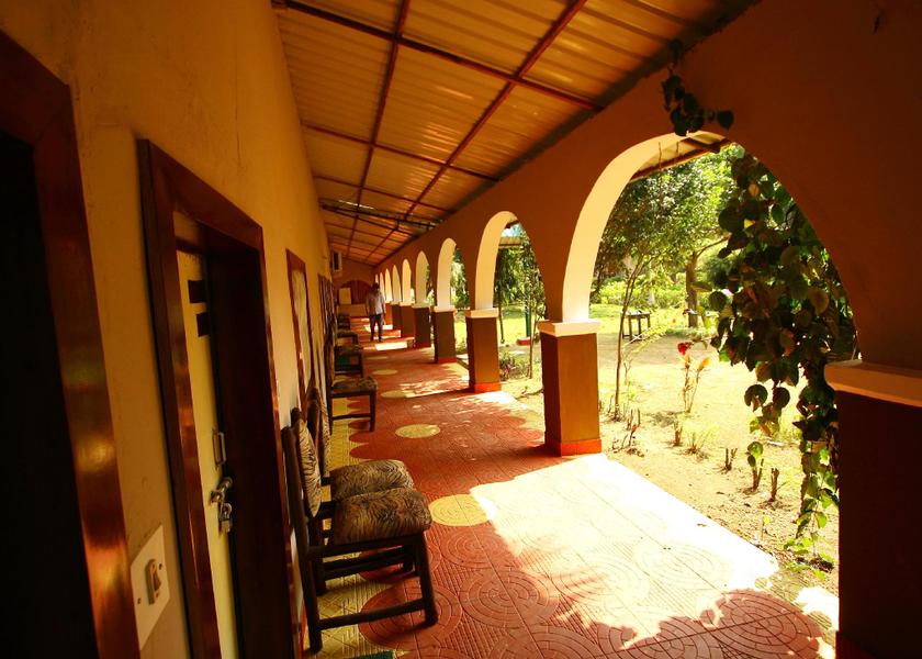 Madhya Pradesh Kanha view