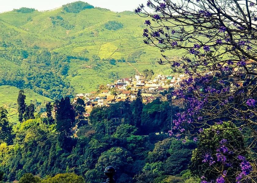 Tamil Nadu Ooty balcony/terrace