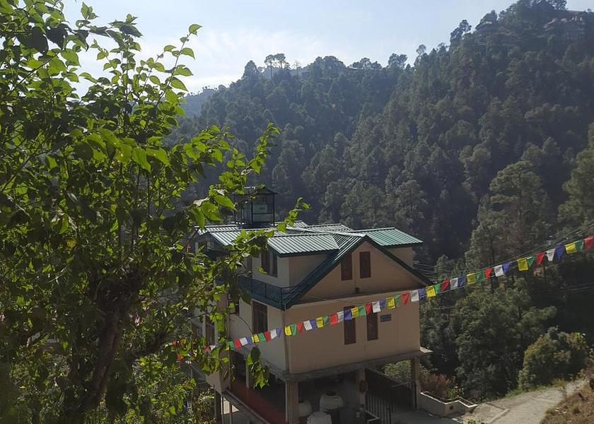 Himachal Pradesh Shimla surrounding environment