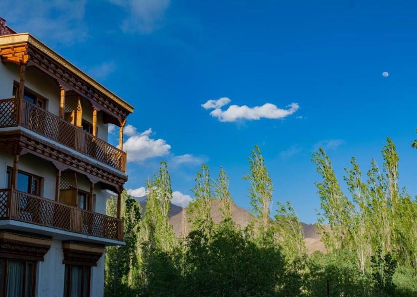 Ladakh Leh View
