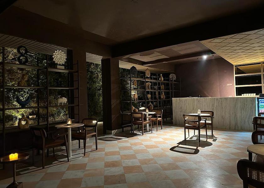 Rajasthan Udaipur bar/lounge