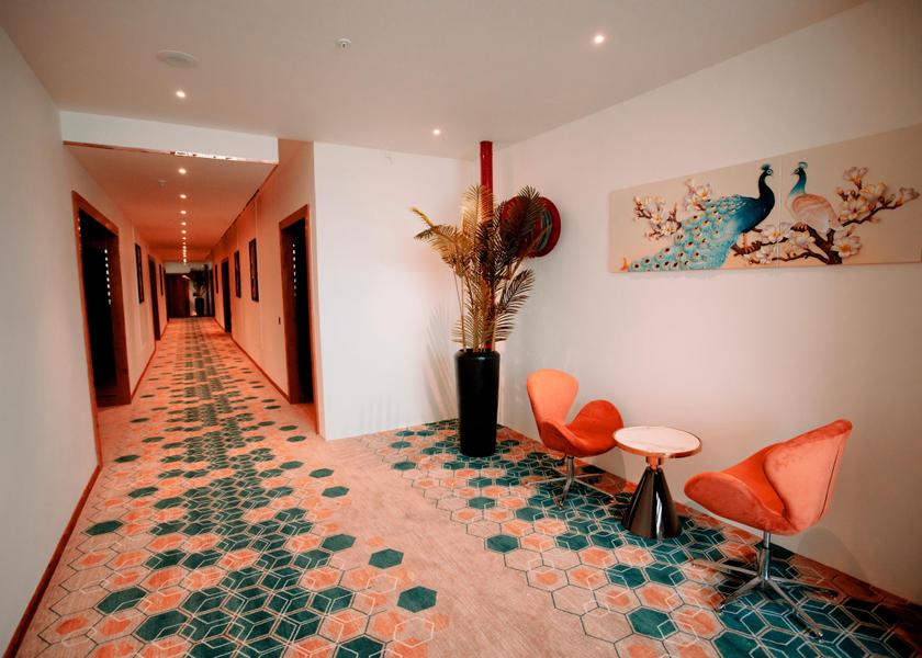 Haryana Hisar Public Areas