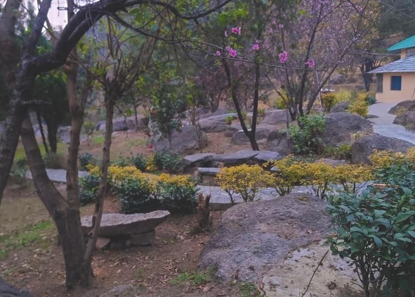 Himachal Pradesh Palampur garden