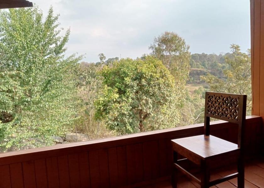 Himachal Pradesh Palampur 1025