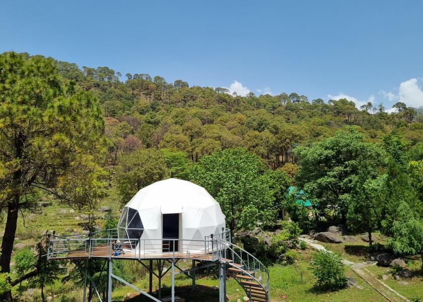 Himachal Pradesh Palampur Outdoors