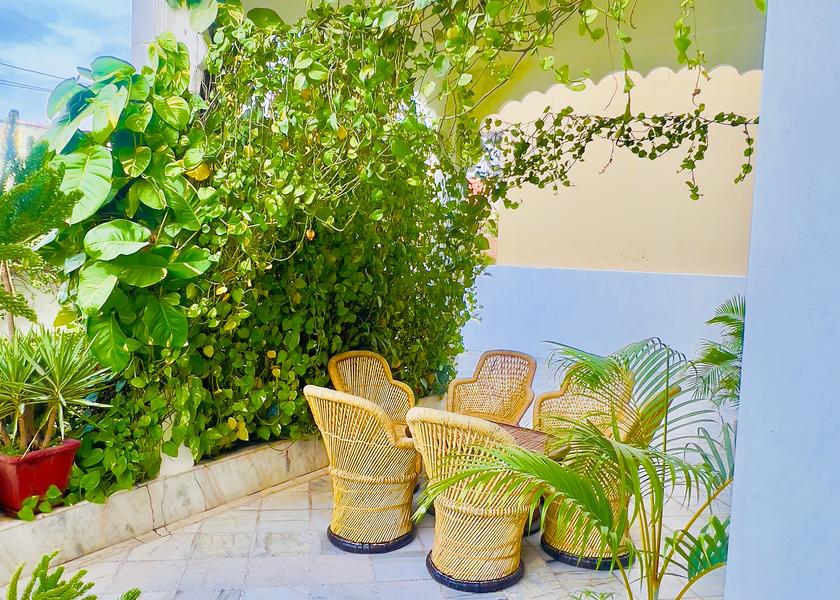 Rajasthan Udaipur Outdoors