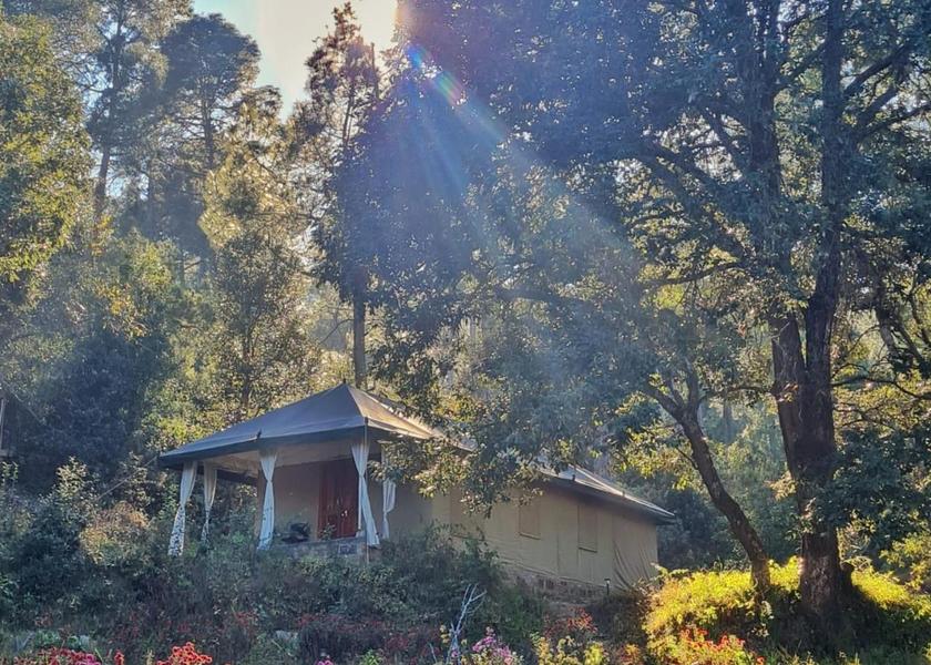 Uttarakhand Ranikhet garden