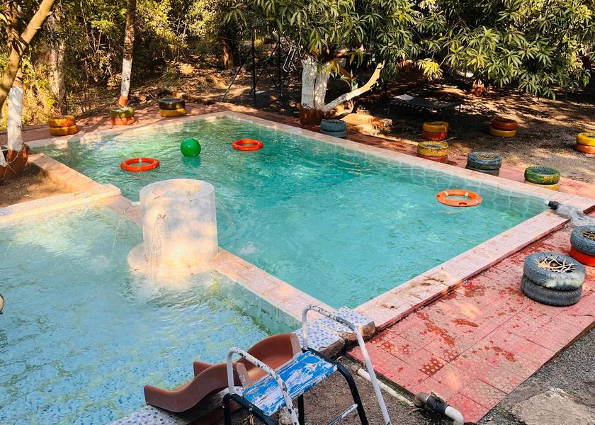 Gujarat Sasan Gir swimming pool