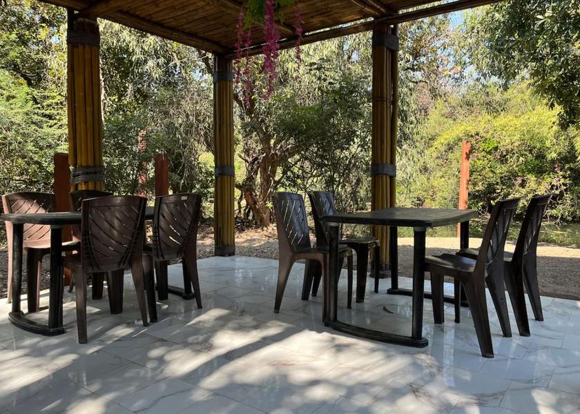 Gujarat Sasan Gir Public Areas