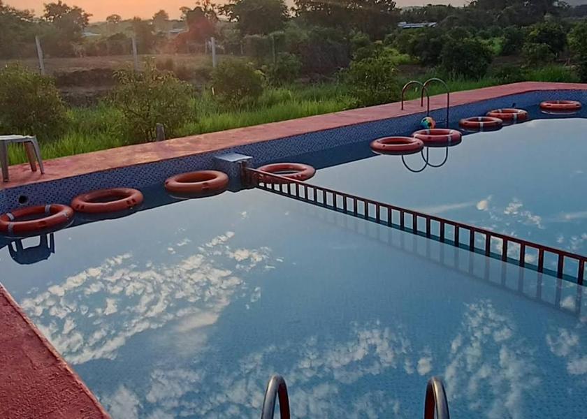 Gujarat Sasan Gir swimming pool