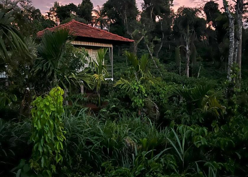 Karnataka Sakleshpur surrounding environment