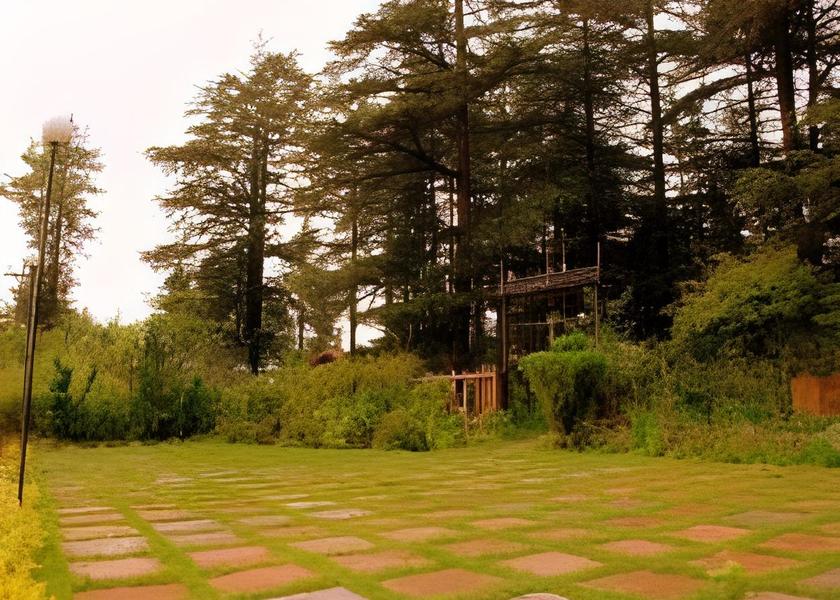 Himachal Pradesh Shimla View