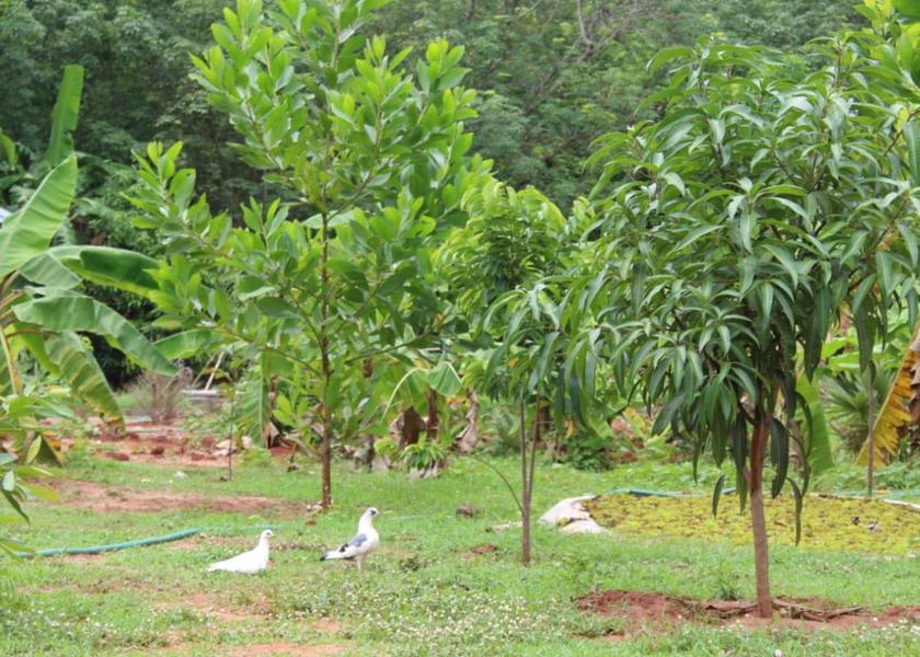 Tamil Nadu Nagercoil Outdoors