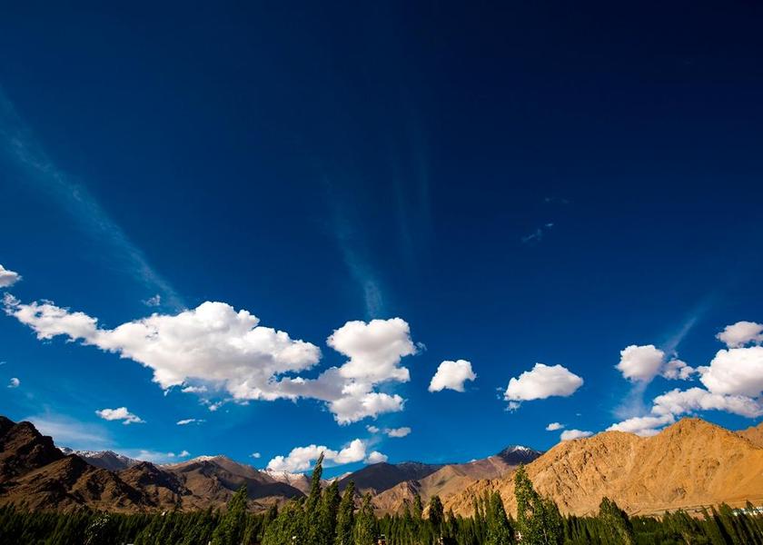 Ladakh Leh view