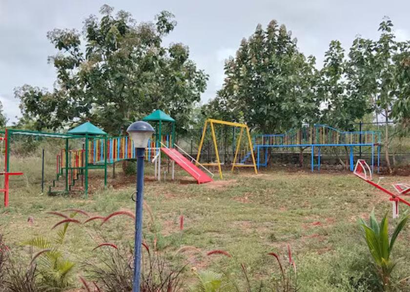 Karnataka Bandipur Outdoors