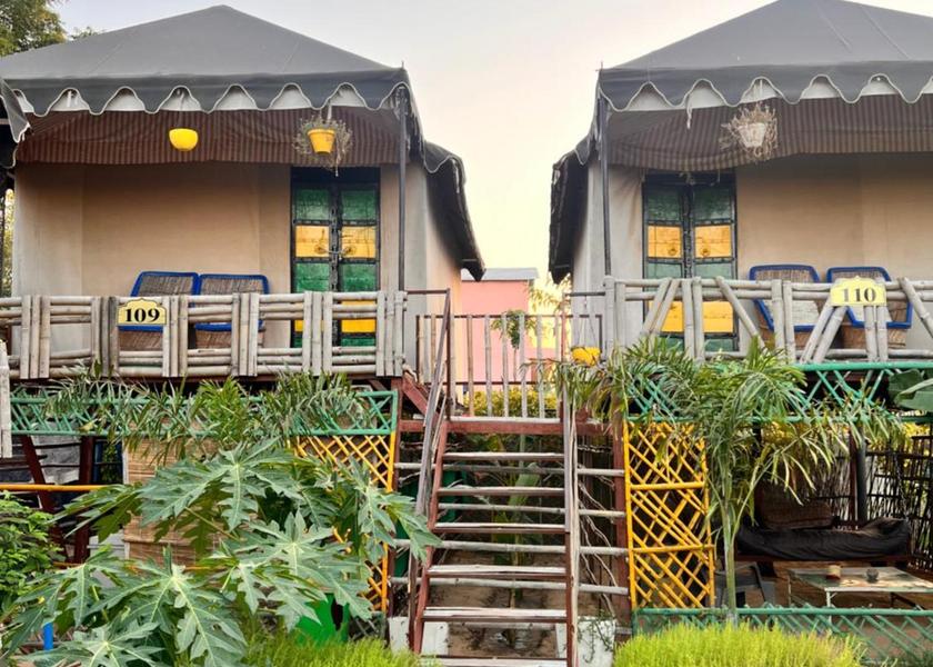 Rajasthan Pushkar garden