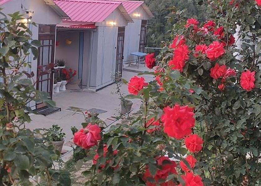Uttarakhand Dhanaulti Hotel Exterior