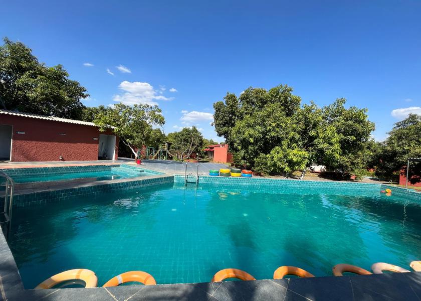 Gujarat Sasan Gir swimming pool
