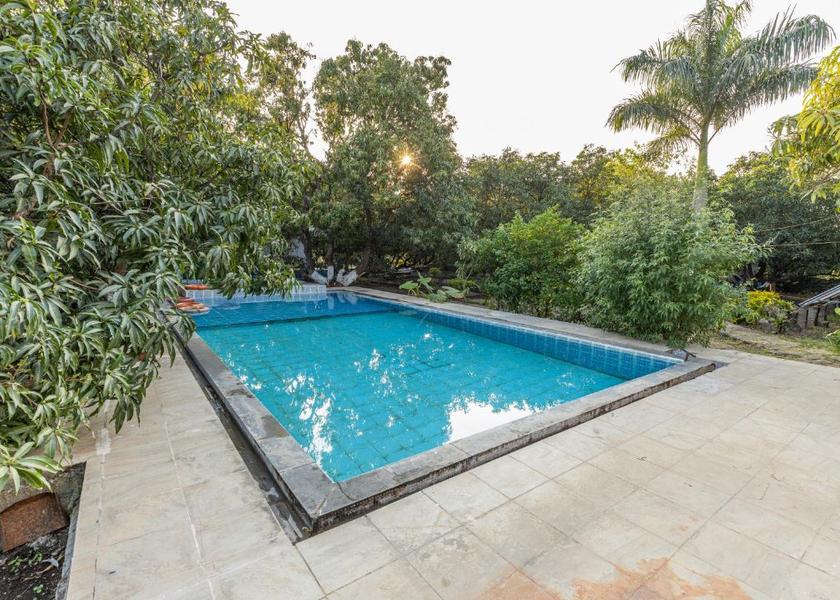 Gujarat Sasan Gir Pool