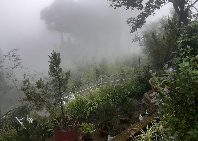 Himachal Pradesh Kasauli balcony/terrace