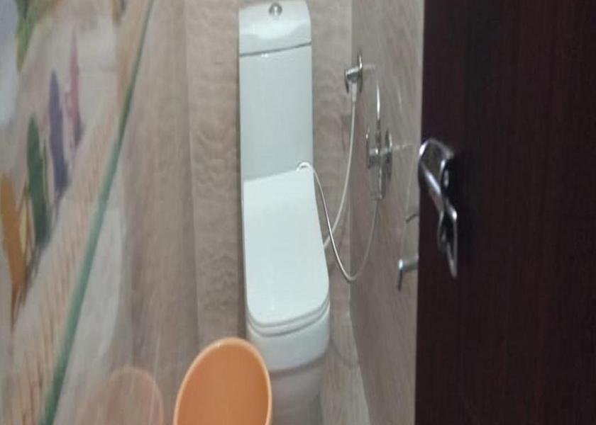 Uttarakhand Barkot bathroom