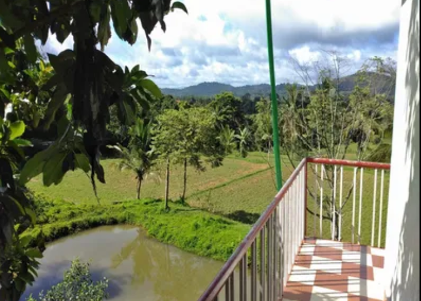 Karnataka Madikeri 1025