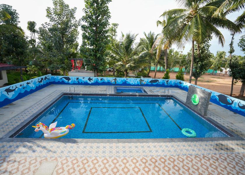 swimming pool [outdoor]