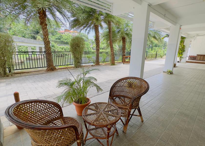 Kerala Kochi garden