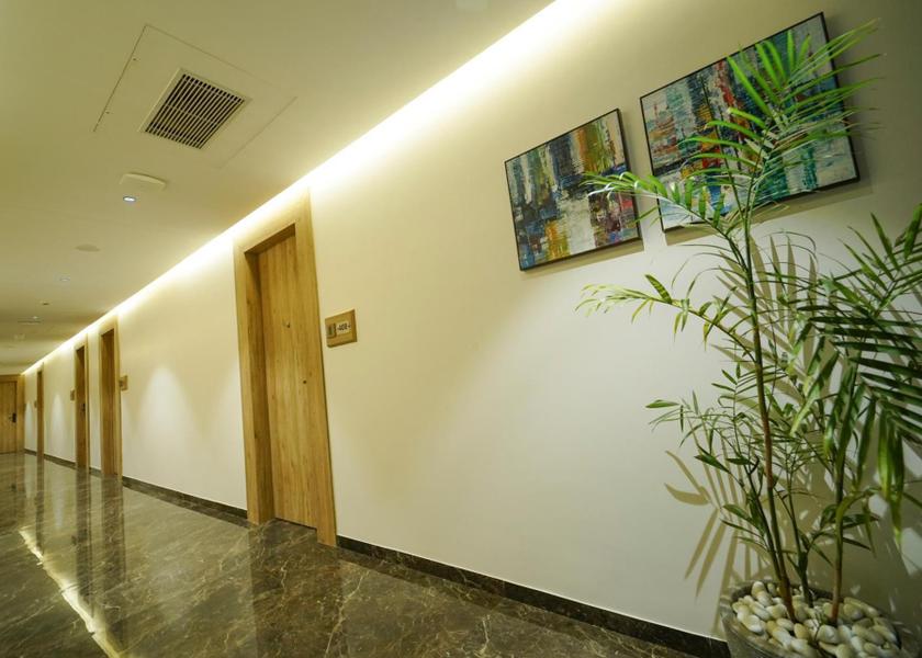 Andhra Pradesh Nellore Public Areas