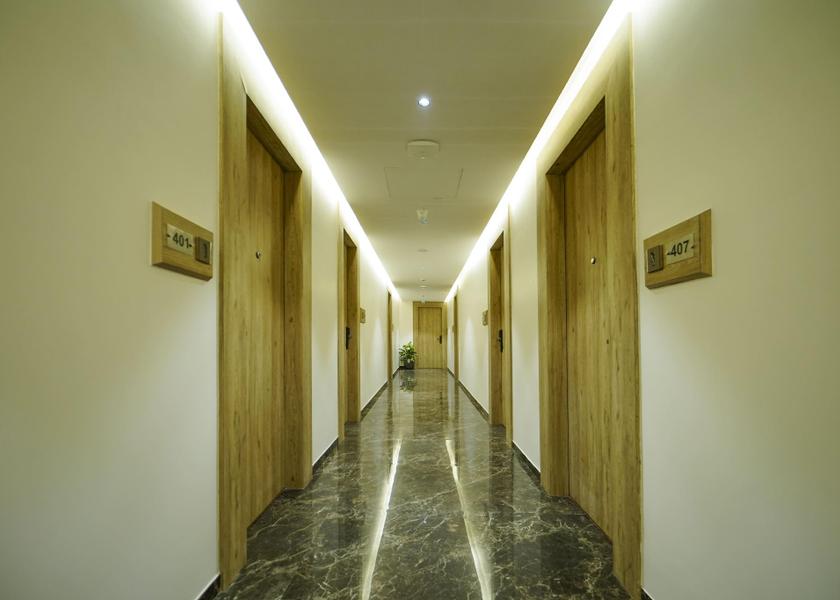 Andhra Pradesh Nellore lobby