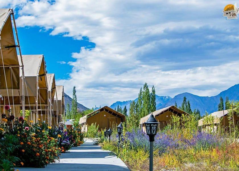 Ladakh Nubra valley Outdoors