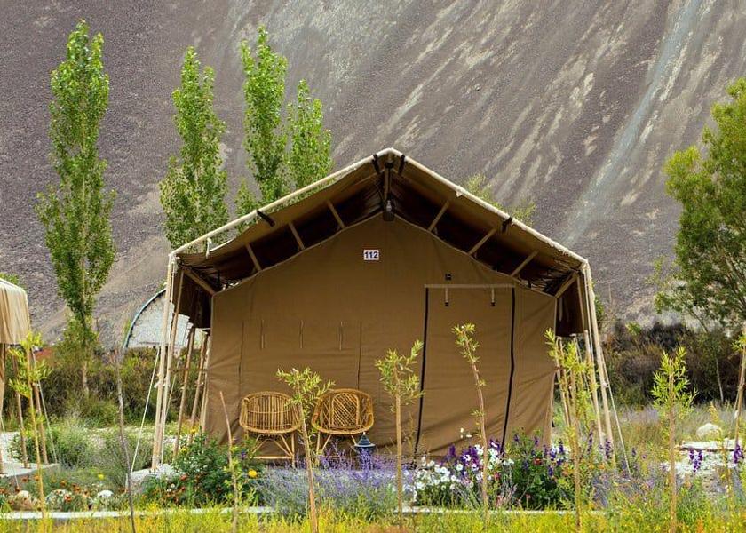 Ladakh Nubra valley 