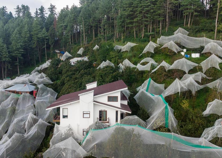 Himachal Pradesh Narkanda 