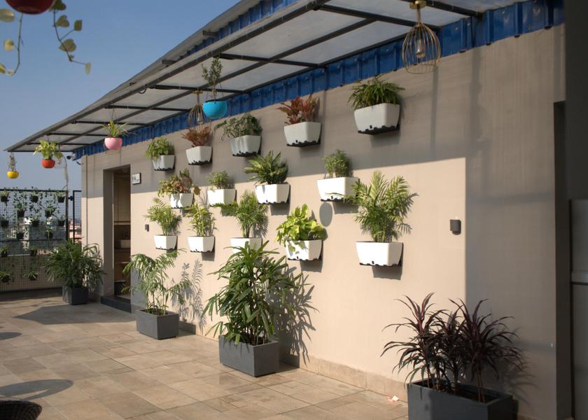 Bihar Kishanganj garden