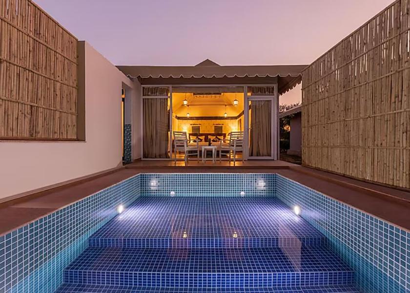 Rajasthan Sariska Pool