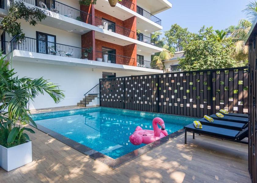 Goa Arpora Pool