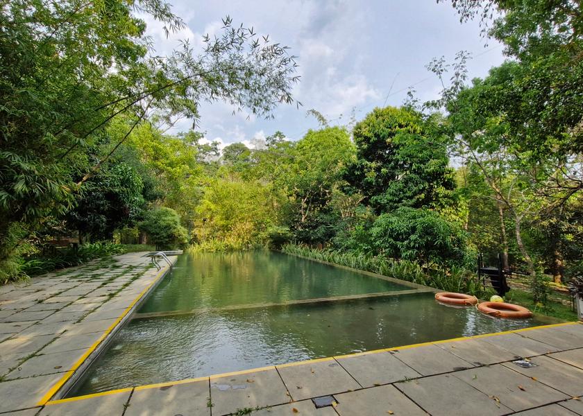 Kerala Wayanad Pool