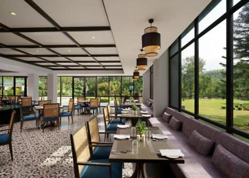 Jammu and Kashmir Katra Food & Dining