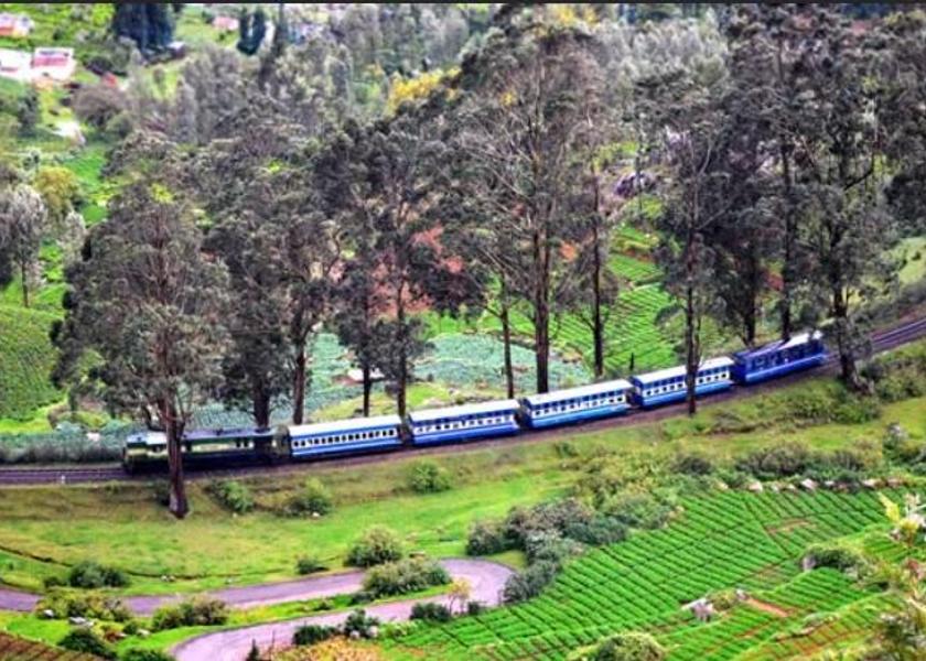 Tamil Nadu Ooty Hotel View