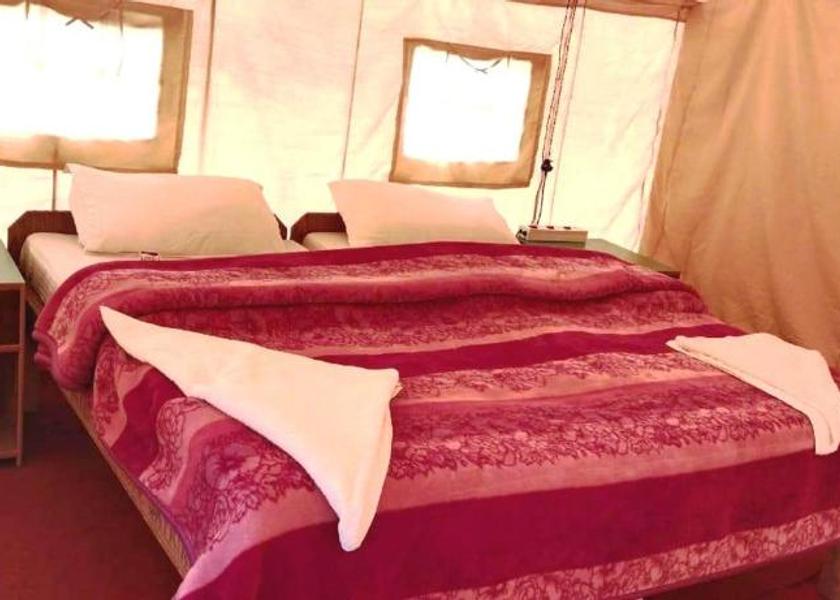 Ladakh Nubra valley Tent