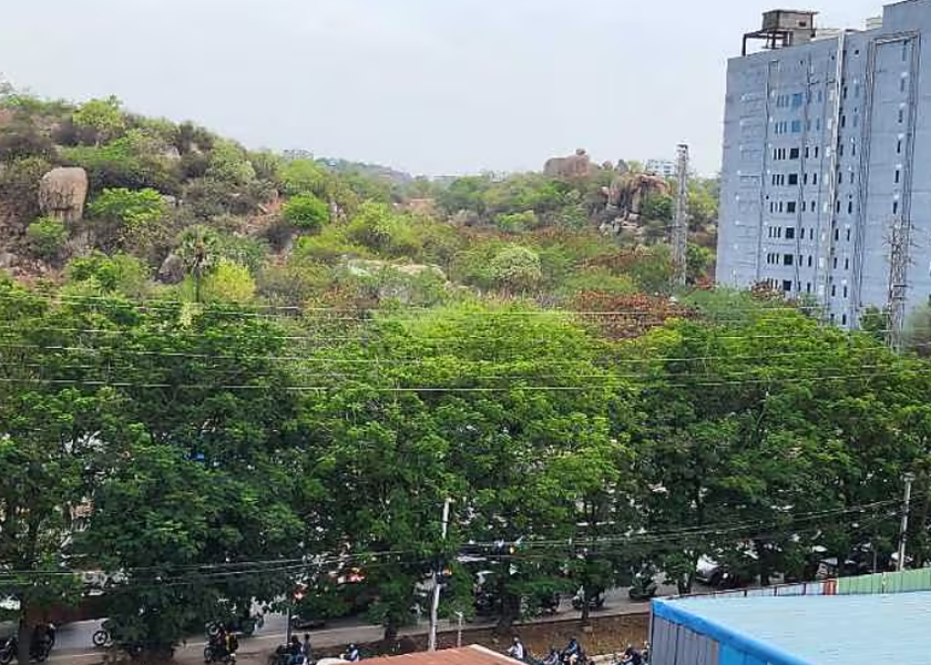 Telangana Hyderabad Hotel View
