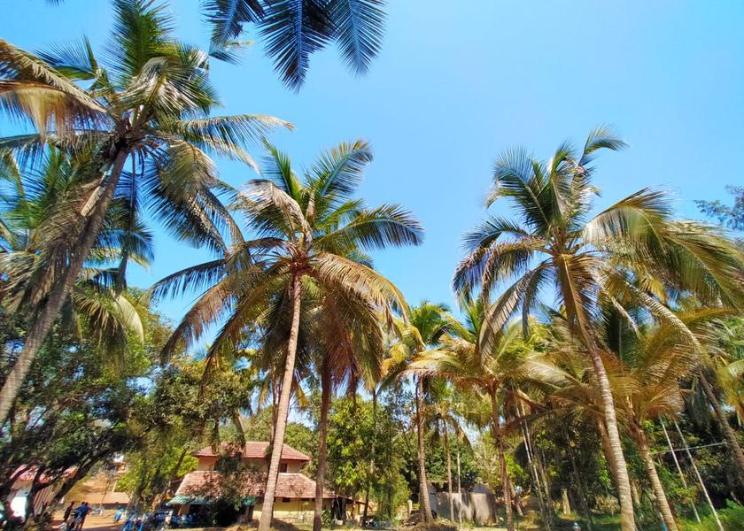 Karnataka Gokarna Outdoors