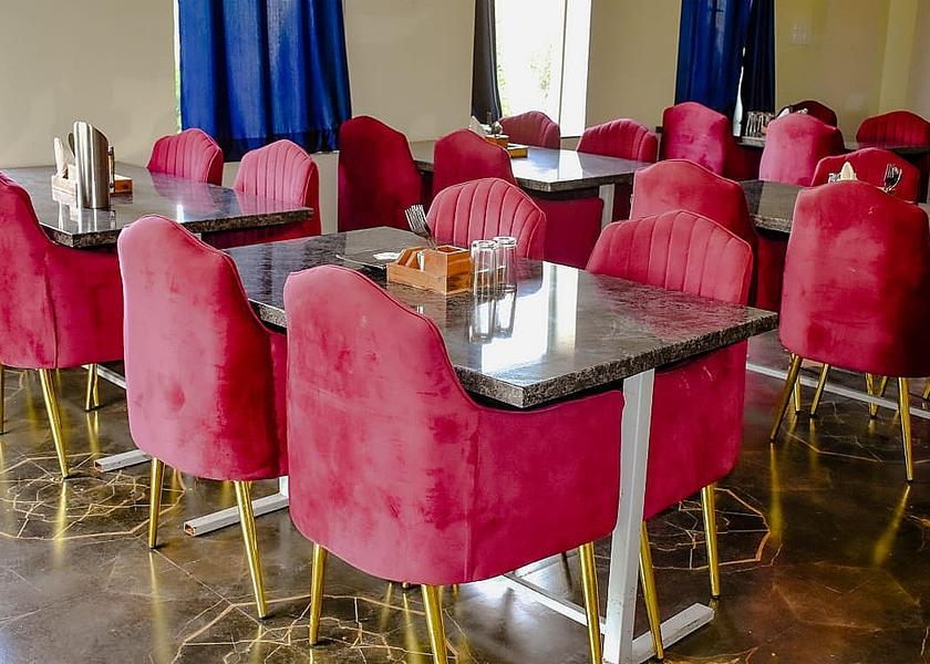 Rajasthan Jaipur Food & Dining
