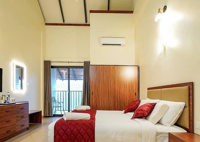 Kerala Wayanad 1025