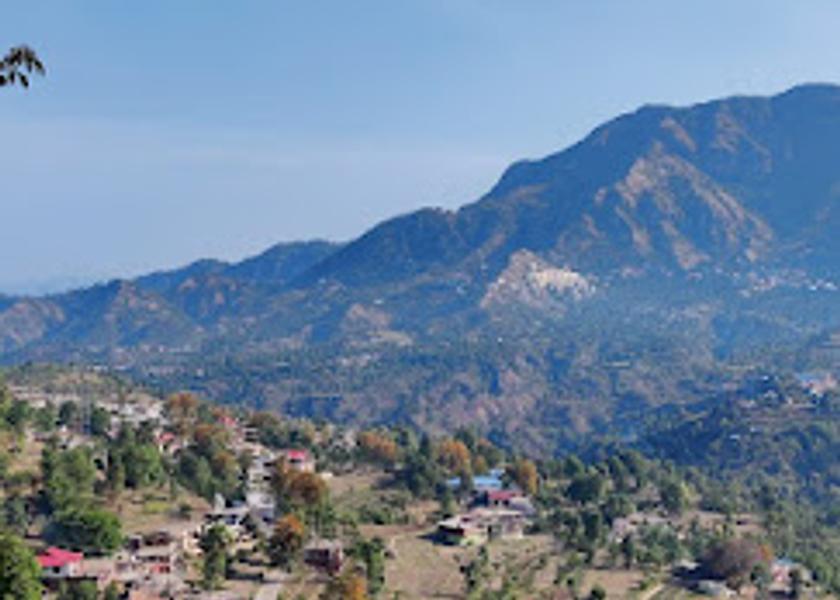 Himachal Pradesh Solan Food & Dining