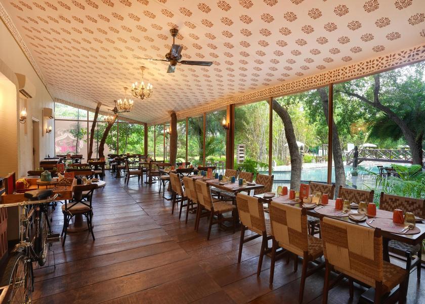 Rajasthan Jaipur Food & Dining
